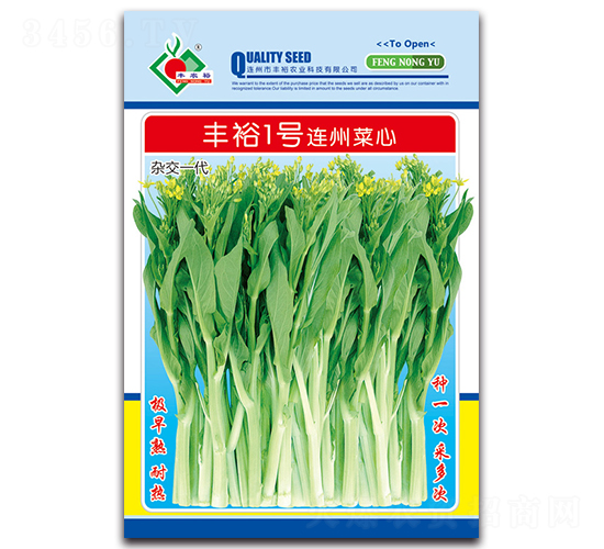 豐裕1號(hào)連州菜心-菜心種子-豐裕農(nóng)業(yè)