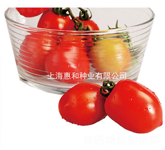 �G��-С���ѷN��-�ݺͷN�I(y��)