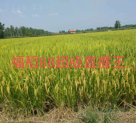 ����88-ˮ���N��-�����r(n��ng)�I(y��)