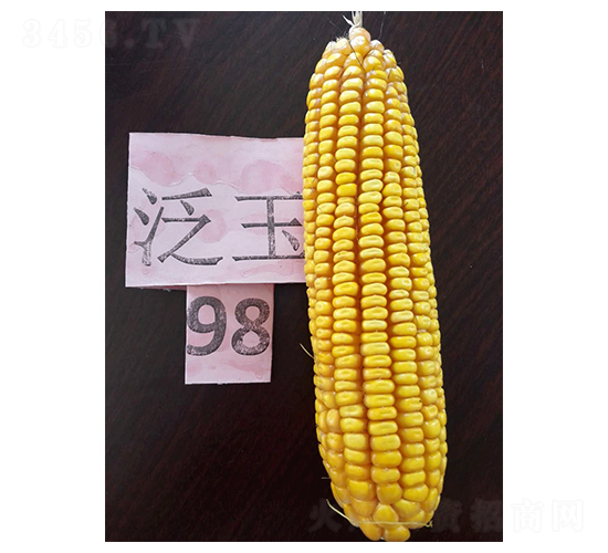 ����98-���׷N��-����N�I(y��)