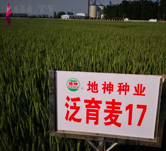 ������17-С���N��-����N�I(y��)