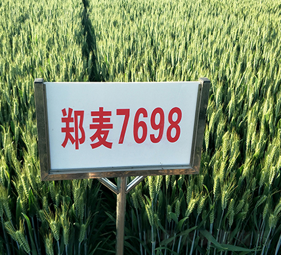 ����7698-С���N��-����N�I(y��)