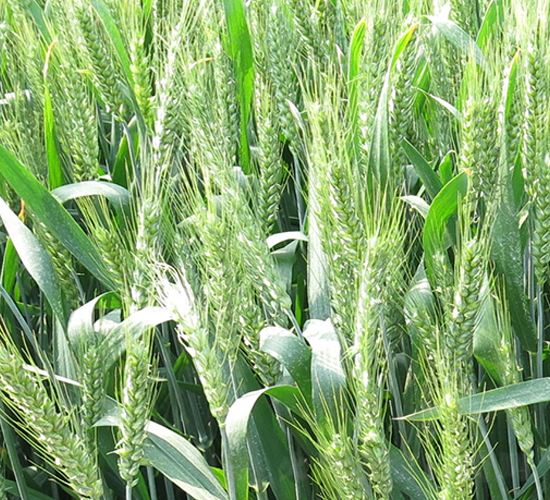 ����7030-С���N��-����N�I(y��)