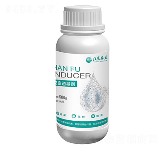 解決大姜姜瘟病誘導(dǎo)劑-漢富農(nóng)業(yè)