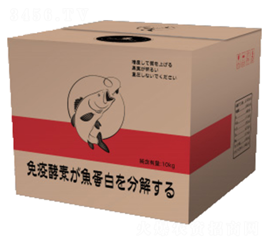 ø���~����-��һ�Z����