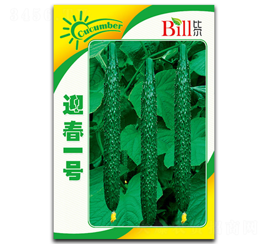 迎春一號-黃瓜種子-比爾