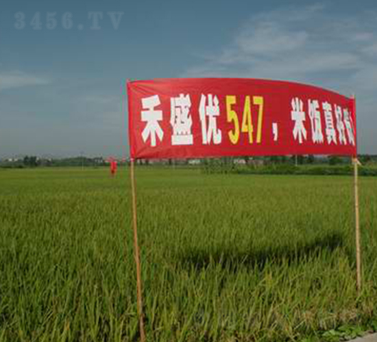 ��9��(y��u)547-ˮ���N��-���r�l(f��)