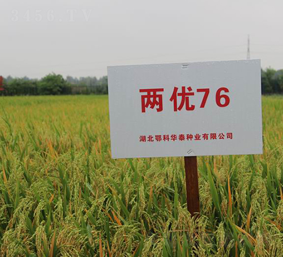 �Ƀ�(y��u)76-ˮ���N��-���r(n��ng)�l(f��)