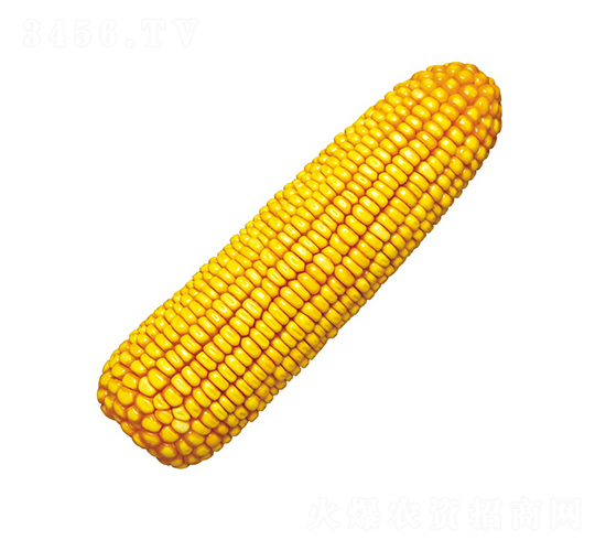 潞玉1號-玉米種子-中農(nóng)發(fā)