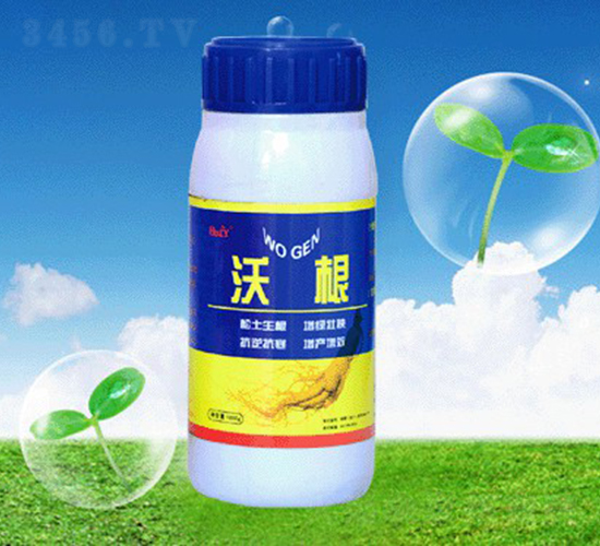 �ָ��~���-�ʺͷʘI(y��)