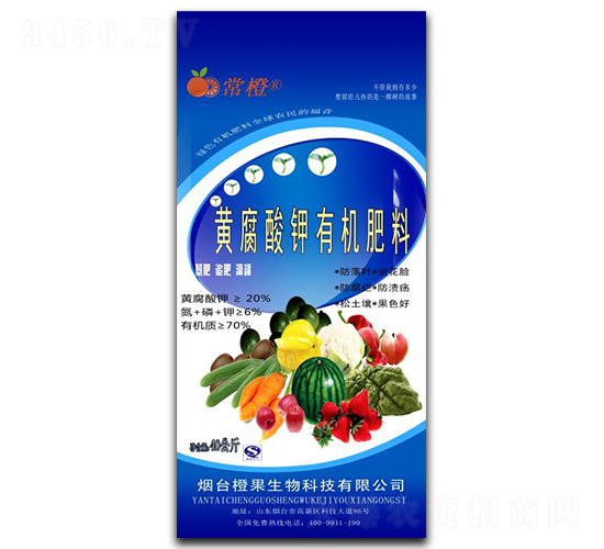 �S������ЙC(j��)����-����-�ȹ�����