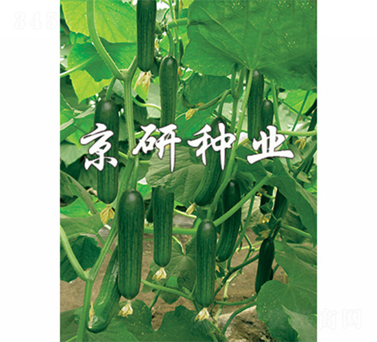 ��������2̖(h��o)-�S�ϷN��-����