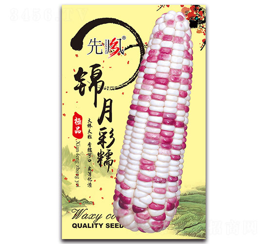 �\�²�Ŵ-Ŵ���׷N��-���L