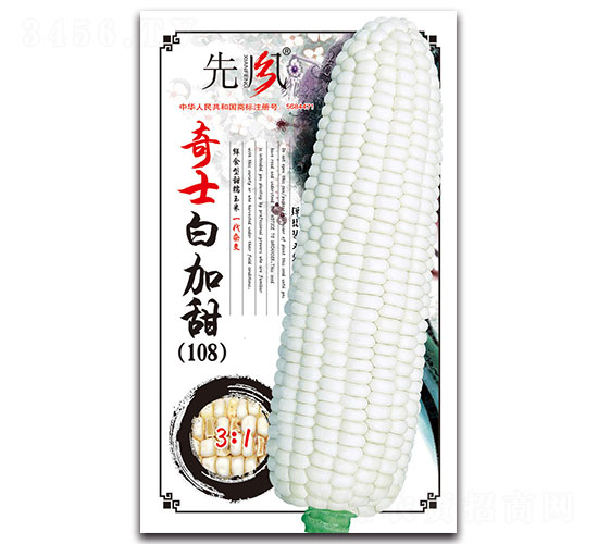 奇士白加甜（108）-糯玉米種子-先風(fēng)