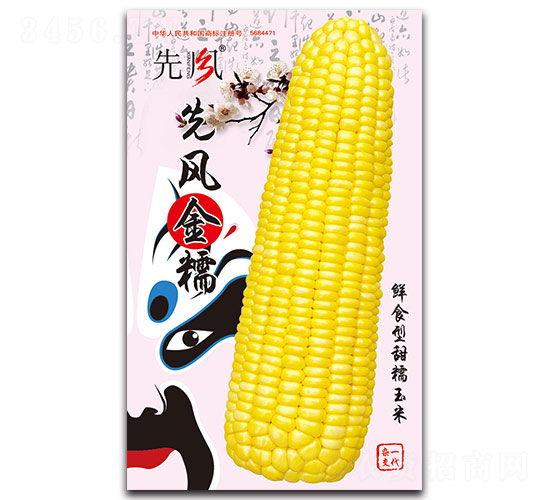 先風金糯-甜糯玉米種子-先風
