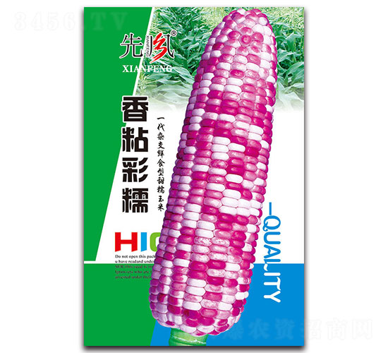 ��ճ��Ŵ-Ŵ���׷N��-���L