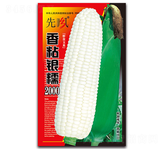 香粘銀糯2000-糯玉米種子-先風(fēng)