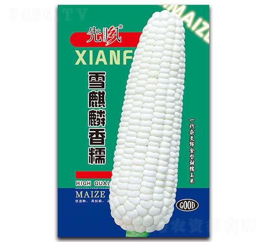 ѩ������Ŵ-Ŵ���׷N��-���L(f��ng)