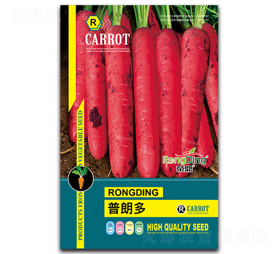 普朗多-蘿卜種子-先風(fēng)