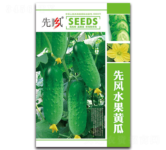 先風(fēng)水果黃瓜-黃瓜種子-先風(fēng)
