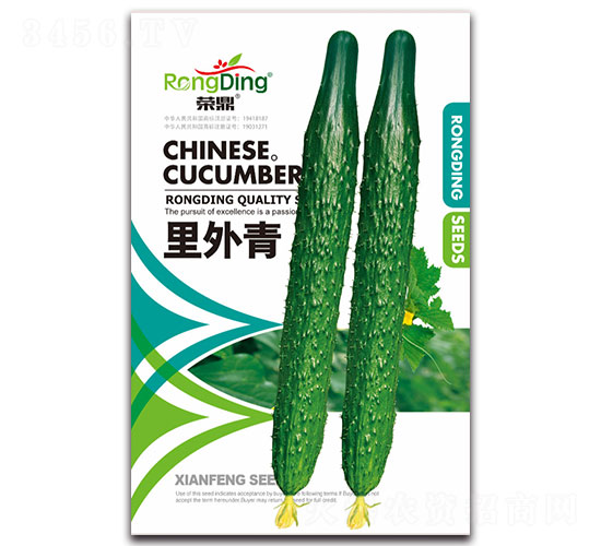 ������-�S�ϷN��-���L