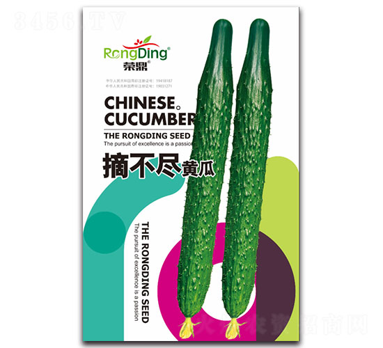 摘不盡黃瓜-黃瓜種子-先風(fēng)