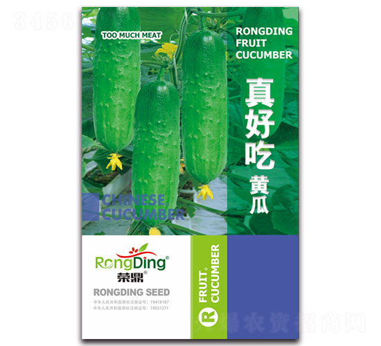 真好吃黃瓜-黃瓜種子-先風(fēng)
