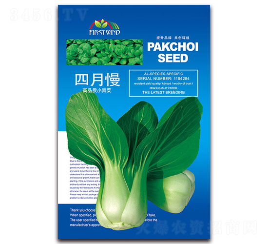 四月慢-青菜種子-先風