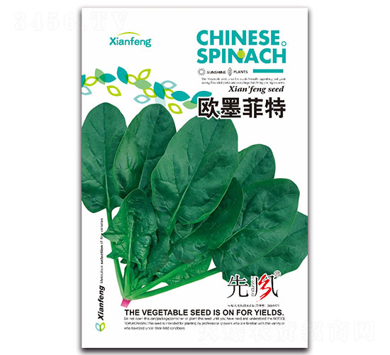 �Wī����-���˷N��-���L(f��ng)