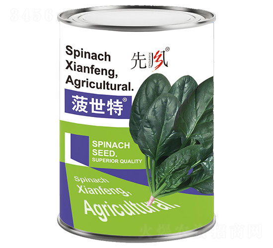 菠世特-菠菜種子-先風(fēng)