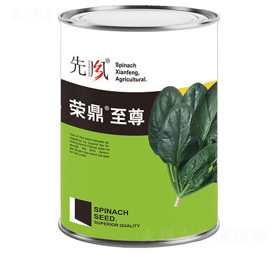 榮鼎至尊-菠菜種子-先風