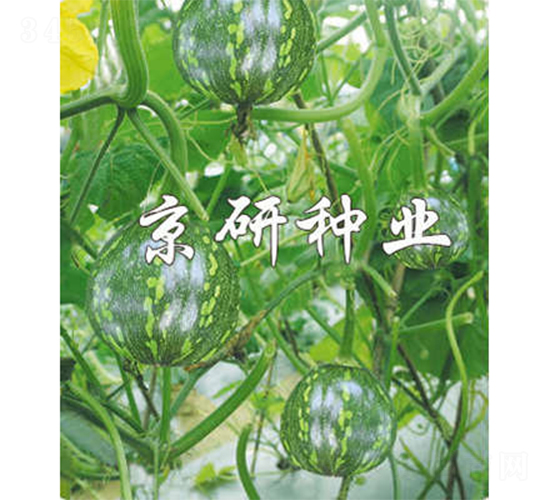 ����3̖(h��o)-�ϹϷN��-����