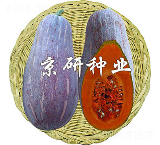 ����1̖-�ϹϷN��-����