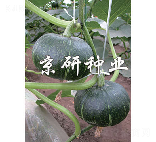 ���쾩�G��-�ϹϷN��-����