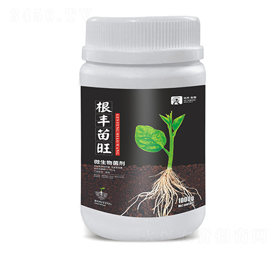 ΢�������-���S����-��������