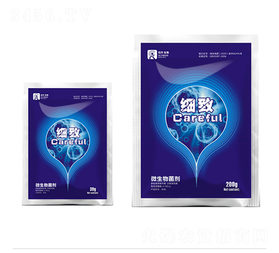 ΢�������-����-��������