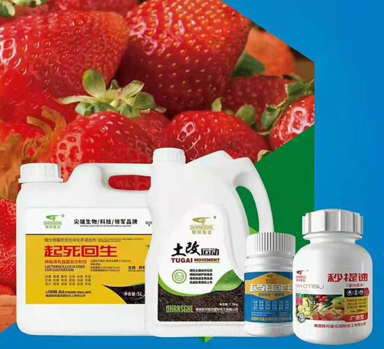 ��ݮ�t�����������ײ�-(li��n)��μ�