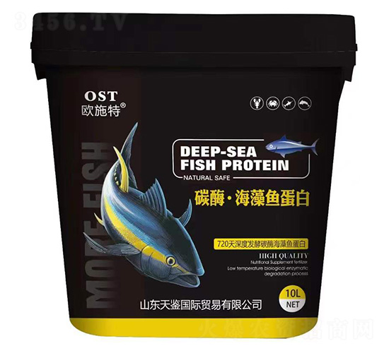 10L̼ø�������~����-�Wʩ��-���b���H