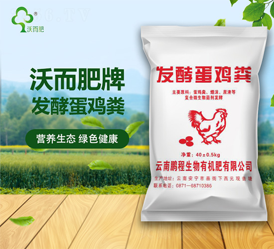 �l(f��)�͵��u�S-�ֶ���-�i������