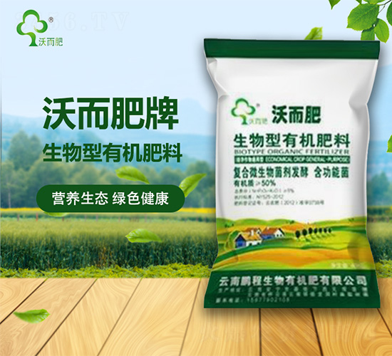 �������ЙC����-�ֶ���-�i������