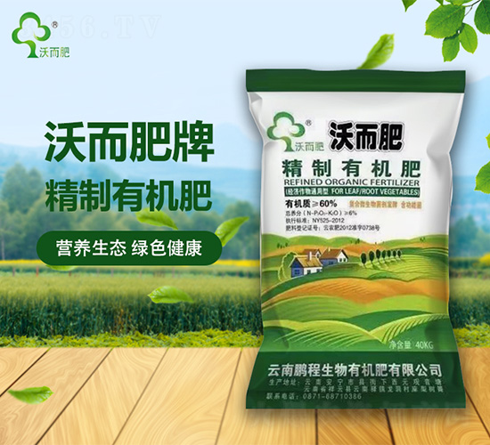 �����ЙC(j��)��-�ֶ���-�i������