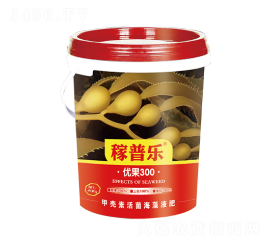 ��(y��u)��300-���՘�-���ɷʘI(y��)