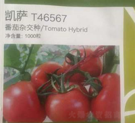 �P�_-���ѷN��-���A�N�I(y��)