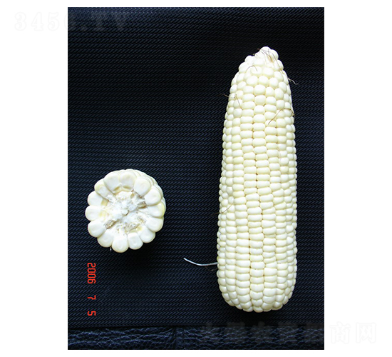 ����Ŵ1̖-Ŵ���׷N��-���r(n��ng)�l(f��)