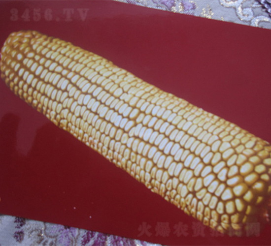 �r(n��ng)��3-���׷N��-�r(n��ng)��N�I(y��)