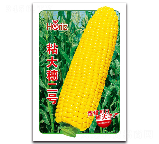 ճ�����̖(h��o)-Ŵ���׷N��-����˹