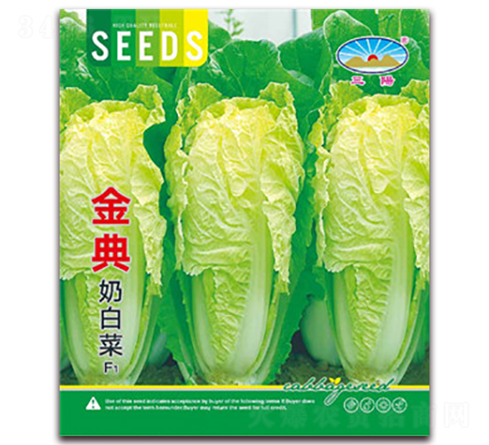 金典奶白菜-白菜種子-天和種業(yè)