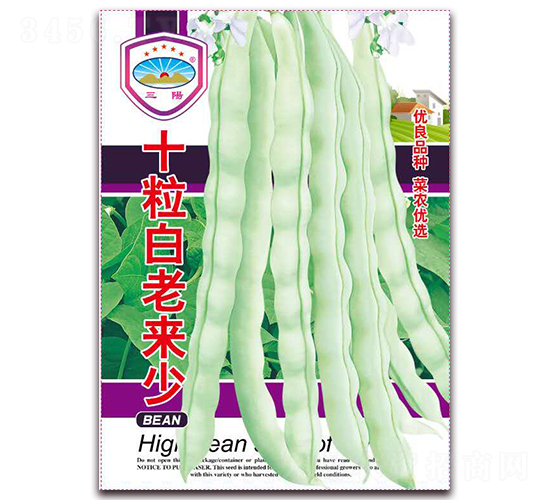 十粒白老來少-豆角種子-天和種業(yè)