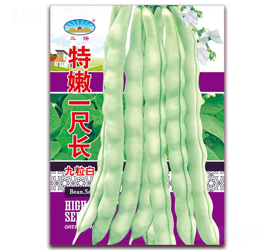 特嫩一尺長-豆角種子-天和種業(yè)