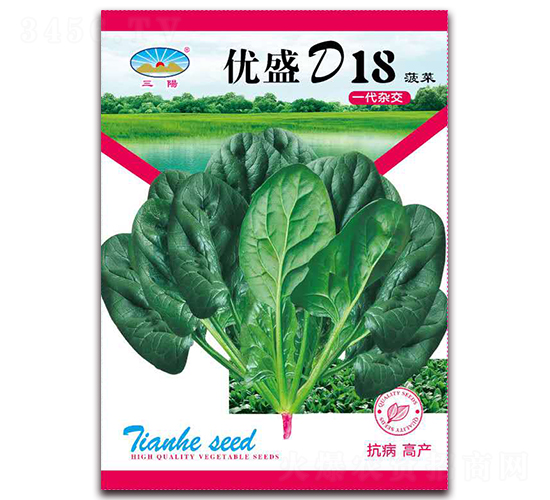 優(yōu)盛D18菠菜-菠菜角種子-天和種業(yè)